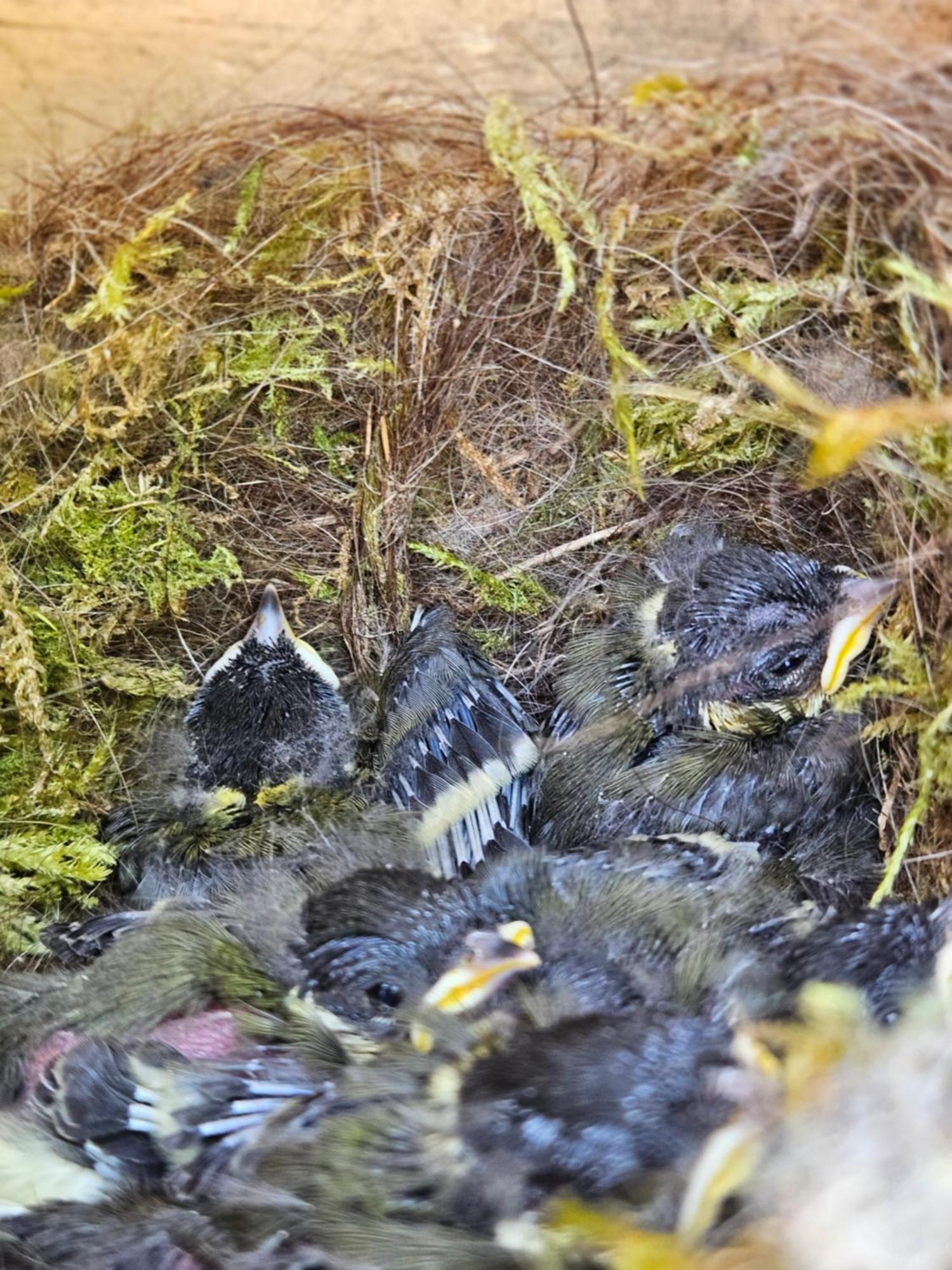 Terre Et Mer Longfossé Eksteriør billede